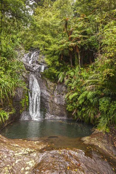 Fairy Falls, Waitakere Ranges, Nova Zelândia — Fotografia de Stock