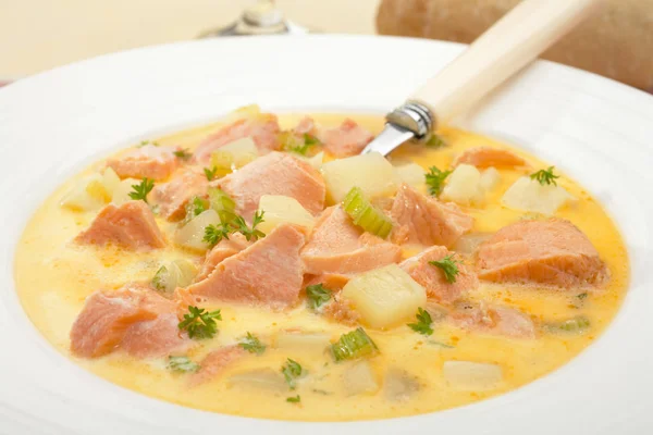 Суп из лосося — стоковое фото