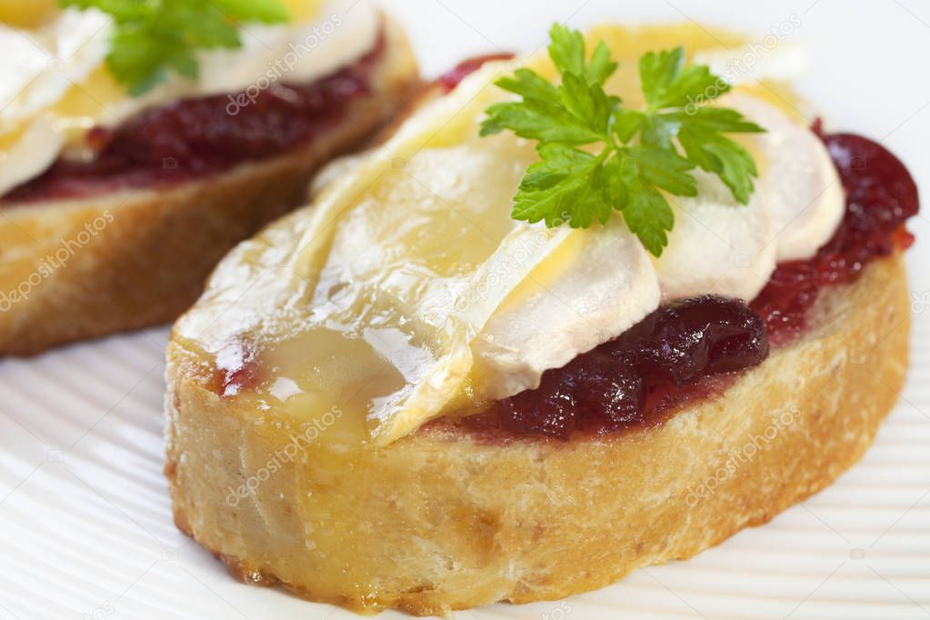 Chicken and Brie Melt with Cranberry