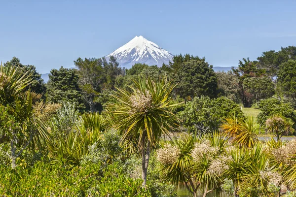 Mount Taranaki and New Zealand Native Bush — Stock Photo, Image