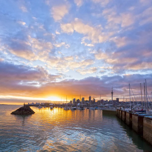 Auckland Skyline et Westhaven Marina — Photo
