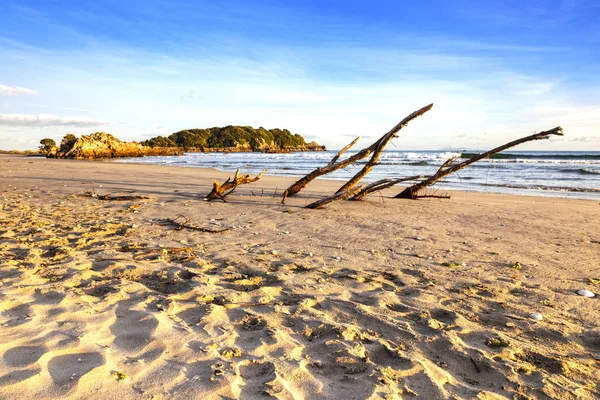 Spiaggia, Monte Maunganui, Nuova Zelanda — Foto Stock