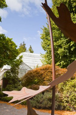 Hagley Park Christchurch meşe yaprağı heykel