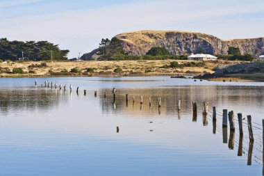 Canterbury Yeni Zelanda Gölü Forsyth