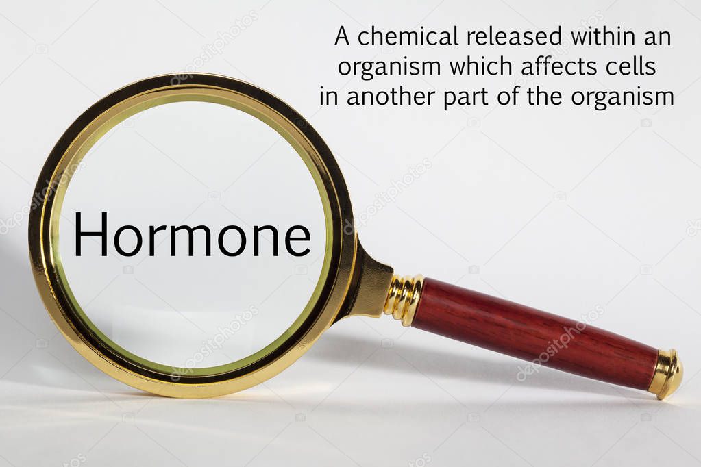 Hormone Concept and Magnifying Glass