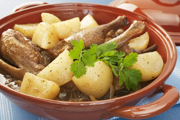 Duck Stew with Turnips French Food — Stock Photo, Image
