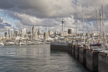Auckland Skline ve Westhaven Marina