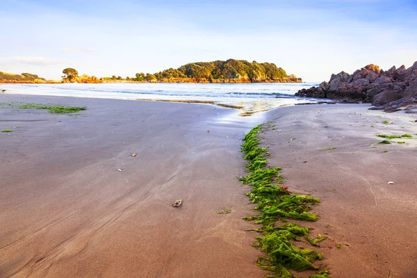 Beach Mount Maunganui Bay-rengeteg Új-Zéland — Stock Fotó