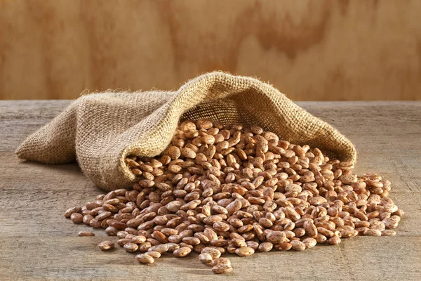 Pinto Beans in Sack — Stock Photo, Image