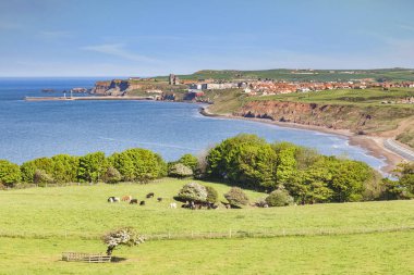 Whitby Lythe banka North Yorkshire İngiltere'den