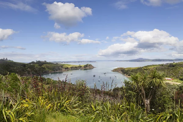 Waiheke Adası Auckland Yeni Zelanda