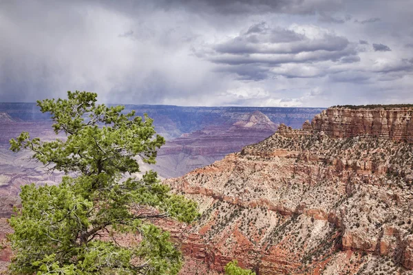 Pipecreek Vista, Grand Canyon, — Stock Photo, Image