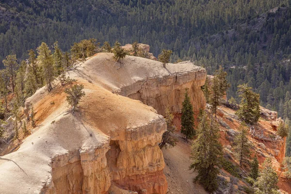 Canyon Bryce, utah — Foto Stock