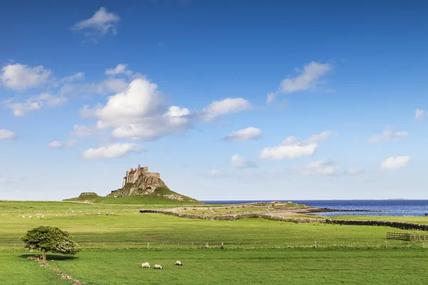 Lindisfarne Castle, Northumberland, Engeland — Stockfoto