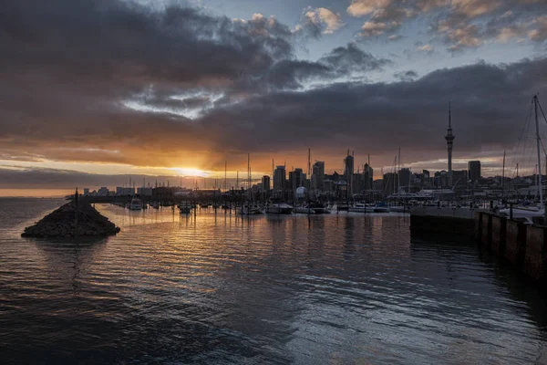 Auckland Skyline et Westhaven Marina — Photo