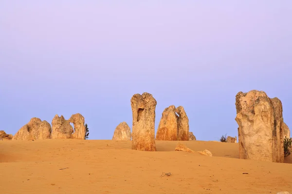 The pinnacles, westaustralien — Stockfoto