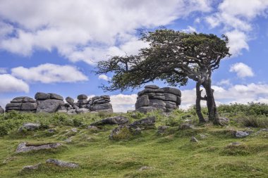 Combestone Tor Dartmoor İngiltere'de