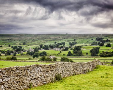 Wensleydale North Yorkshire'deki / İngiltere
