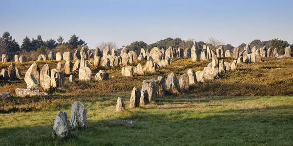 Carnac ausrichtungen bretagne frankreich — Stockfoto