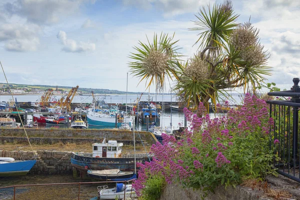 Newlyn Cornwall İngiltere'de — Stok fotoğraf