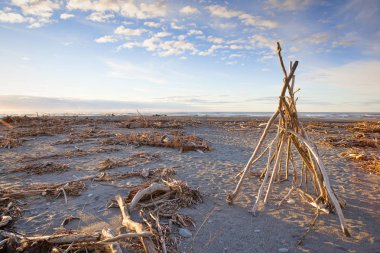 Hokitika Beach West Coast Yeni Zelanda
