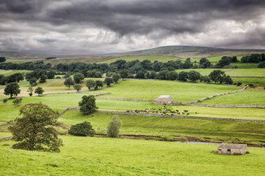 Yorkshire dales İngiltere'de
