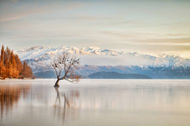 Göl Wanaka Otago Yeni Zelanda