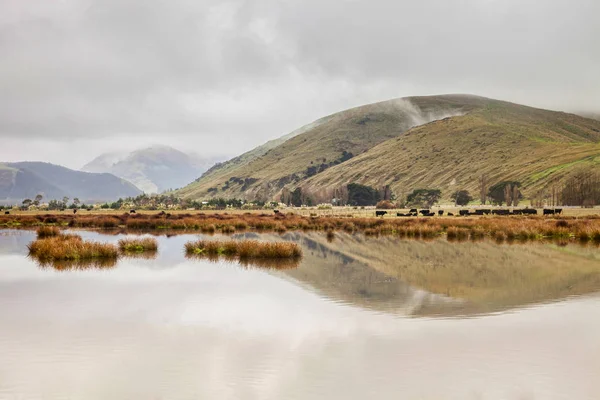 Göl, tepeler ve tarım arazileri Yeni Zelanda — Stok fotoğraf
