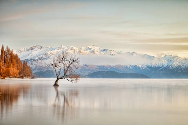 Lake Wanaka Otago nya Zeeland — Stockfoto