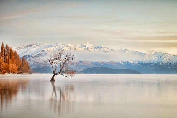 Göl Wanaka Otago Yeni Zelanda