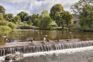 Bakewell Derbyshire UK, Weir on the River Wye clipart