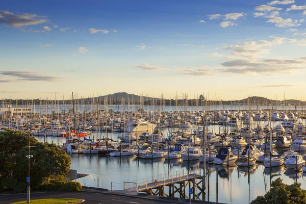 Auckland Westhaven Marina och Mount Rangitoto — Stockfoto