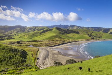 Coromandel bağlantı noktası Jackson Yeni Zelanda