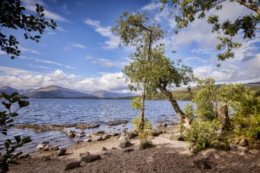 Loch Lomond güzel göl manzaralı ağaçlar