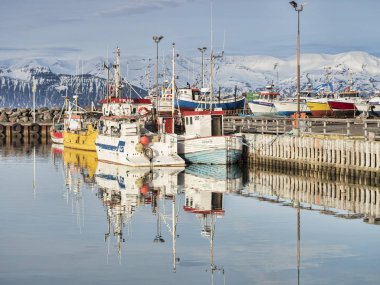 Husavik Harbour North Iceland'deki /