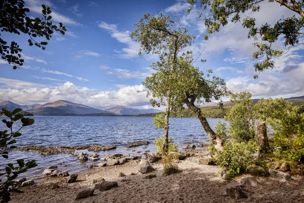 Loch Lomond güzel göl manzaralı ağaçlar — Stok fotoğraf