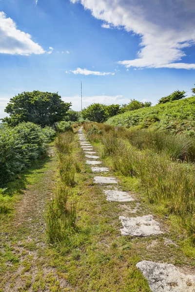 Lajes de granito Bodmin Moor Cornwall Reino Unido — Fotografia de Stock