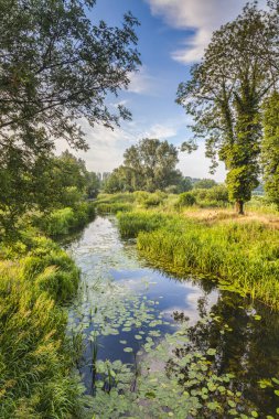 Stour Nehri, Nayland, Suffolk
