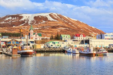 Husavik Kuzey İzlanda