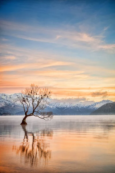 Lake Wanaka Otago w Nowej Zelandii — Zdjęcie stockowe