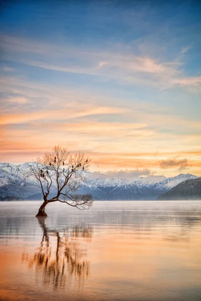 Göl Wanaka Otago Yeni Zelanda