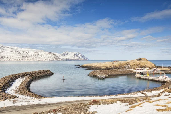 冰岛东部巴克卡格迪港 — 图库照片