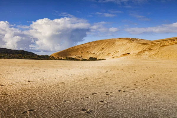 Te Paki dunas de areia gigantes, Northland, Nova Zelândia — Fotografia de Stock