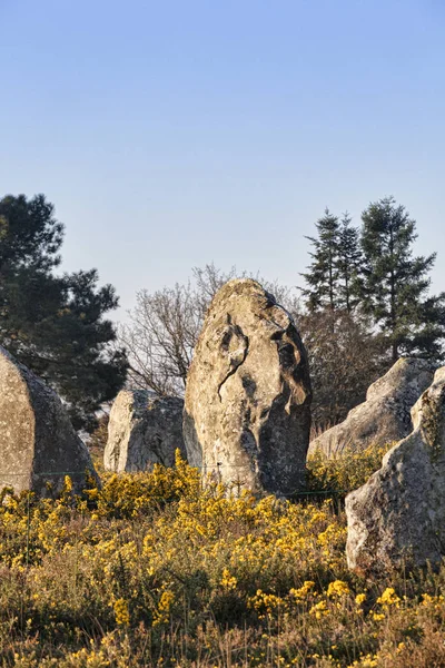 Carnac Standing Stones — Stock Photo, Image