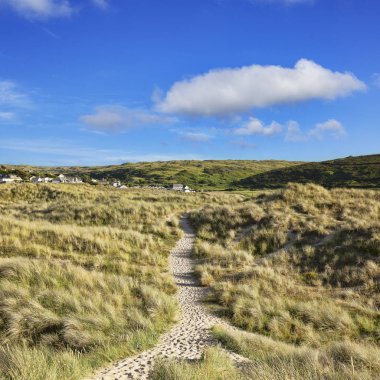 Holywell Bay Cornwall Uk 'un güneybatı yakası yolu.