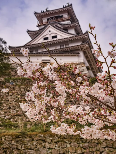 Château de Kochi, Japon — Photo