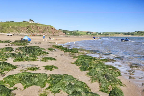 Bigbury Beach Devon Regno Unito — Foto Stock