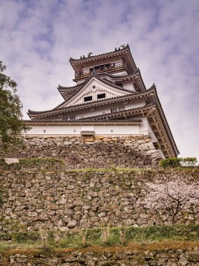 Kochi Castle, Japonya