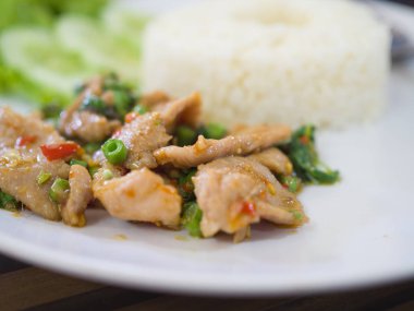 Tavada kızartılmış domuz eti ve fesleğen ile pirinç, Tayland baharatlı yemekleri fesleğen domuz kızarmış pilav tarifi (Krapao Moo yakın çekim)