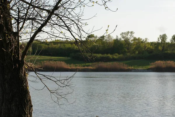 Blick Auf Den Frühling Ufer Des Flusses — Stockfoto